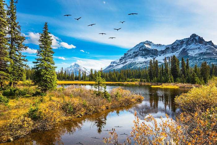 The autumn day