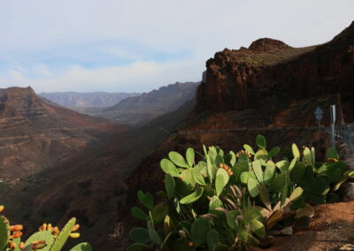 Gran Canaria 2024